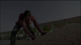 KBC - Season 14 - 17th Nov 22